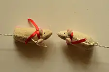 सुंदरवन - Felt Toy { Moo . Lee }
